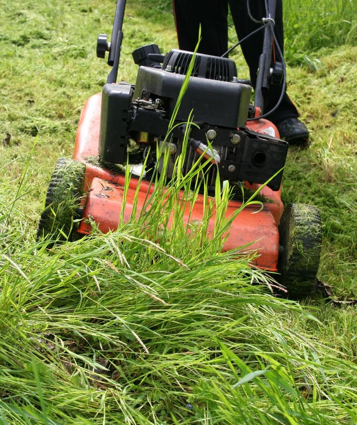 professional lawn mowing service being performed on a well-maintained yard