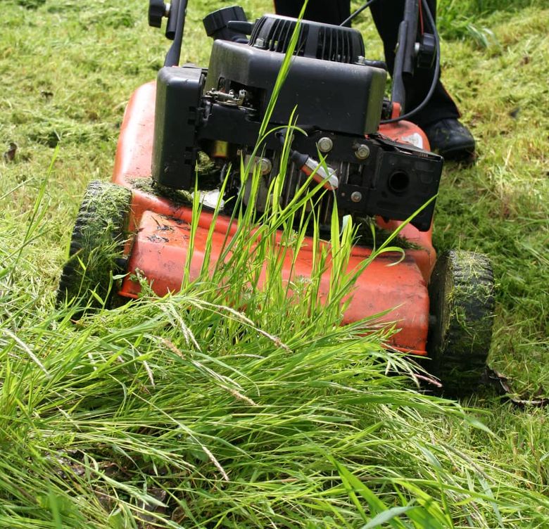 Eden's Verdure eco-friendly lawn maintenance