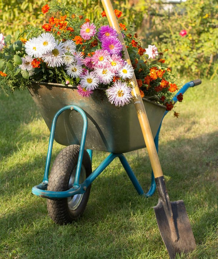 beautifully maintained garden with seasonal flowers and pruned shrubs