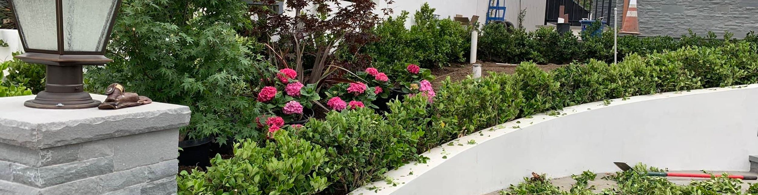 backyard being maintained